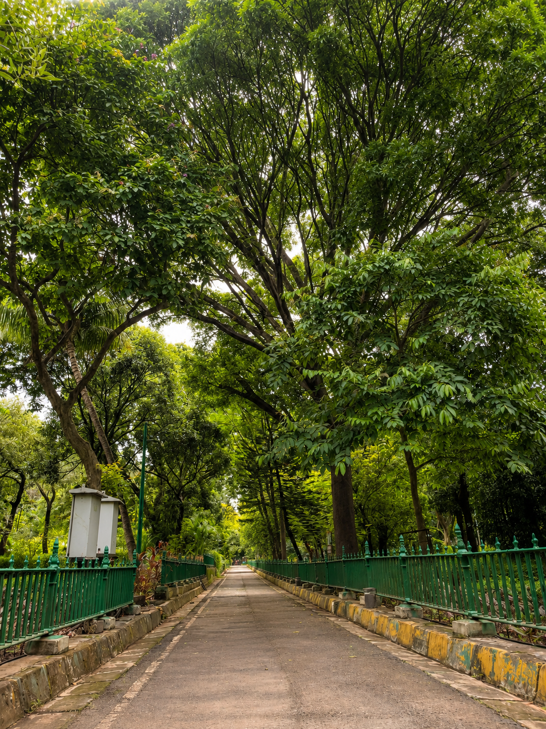 Veermata Jijabai Bhosale Botanical Udyan and Zoo - slide 5