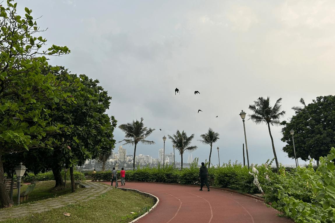 Rotary Park - slide 4