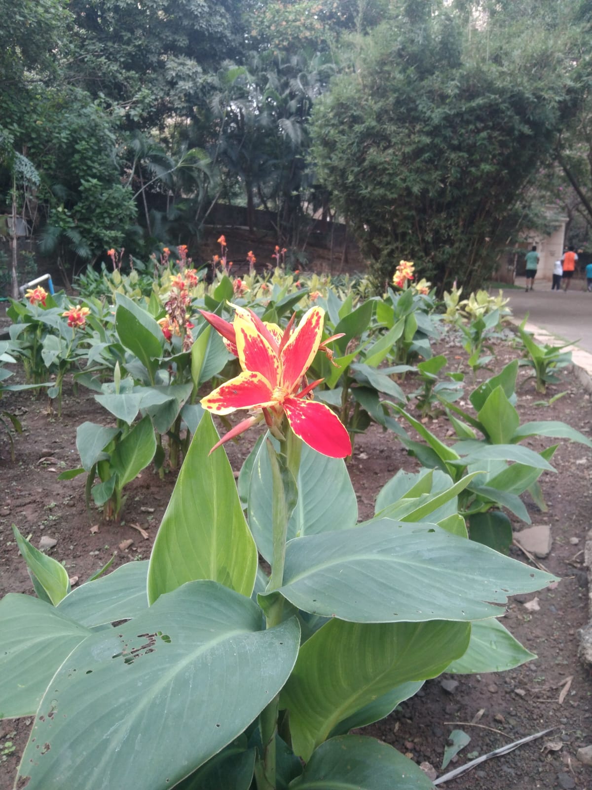 Heritage Garden - slide 4