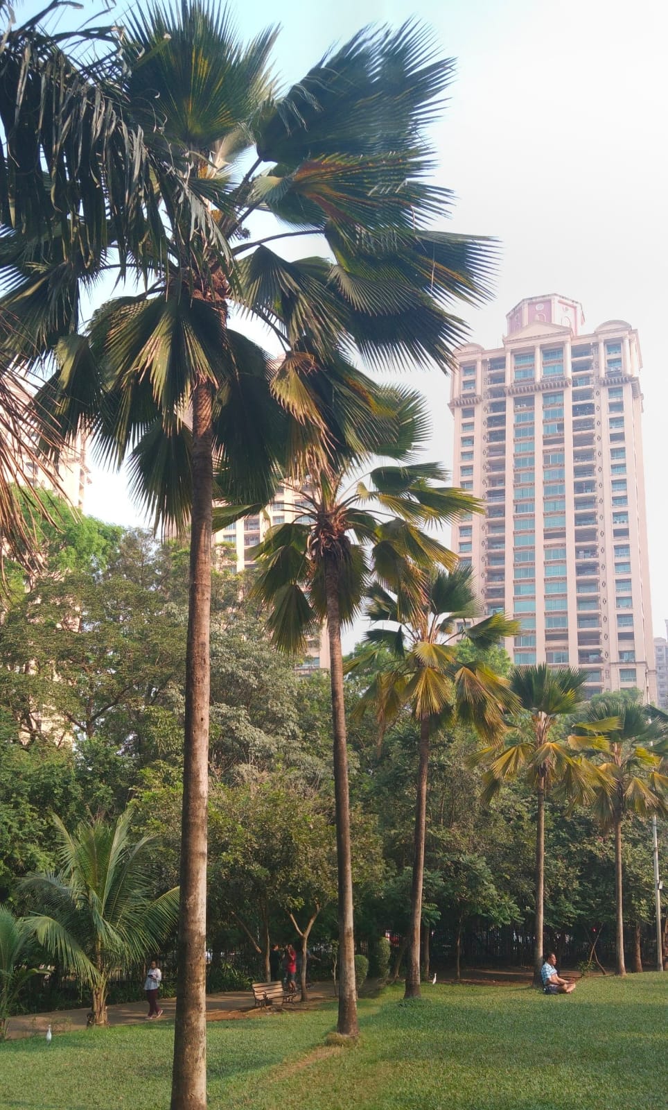 Heritage Garden - slide 5
