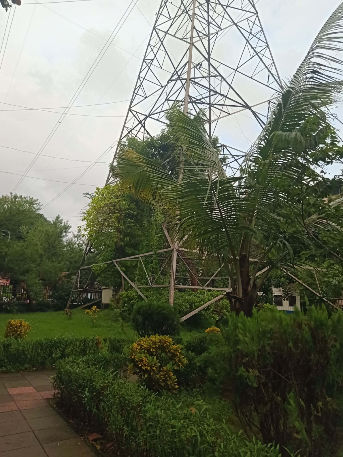 Vishal Phulchand Madhavi garden - slide 12