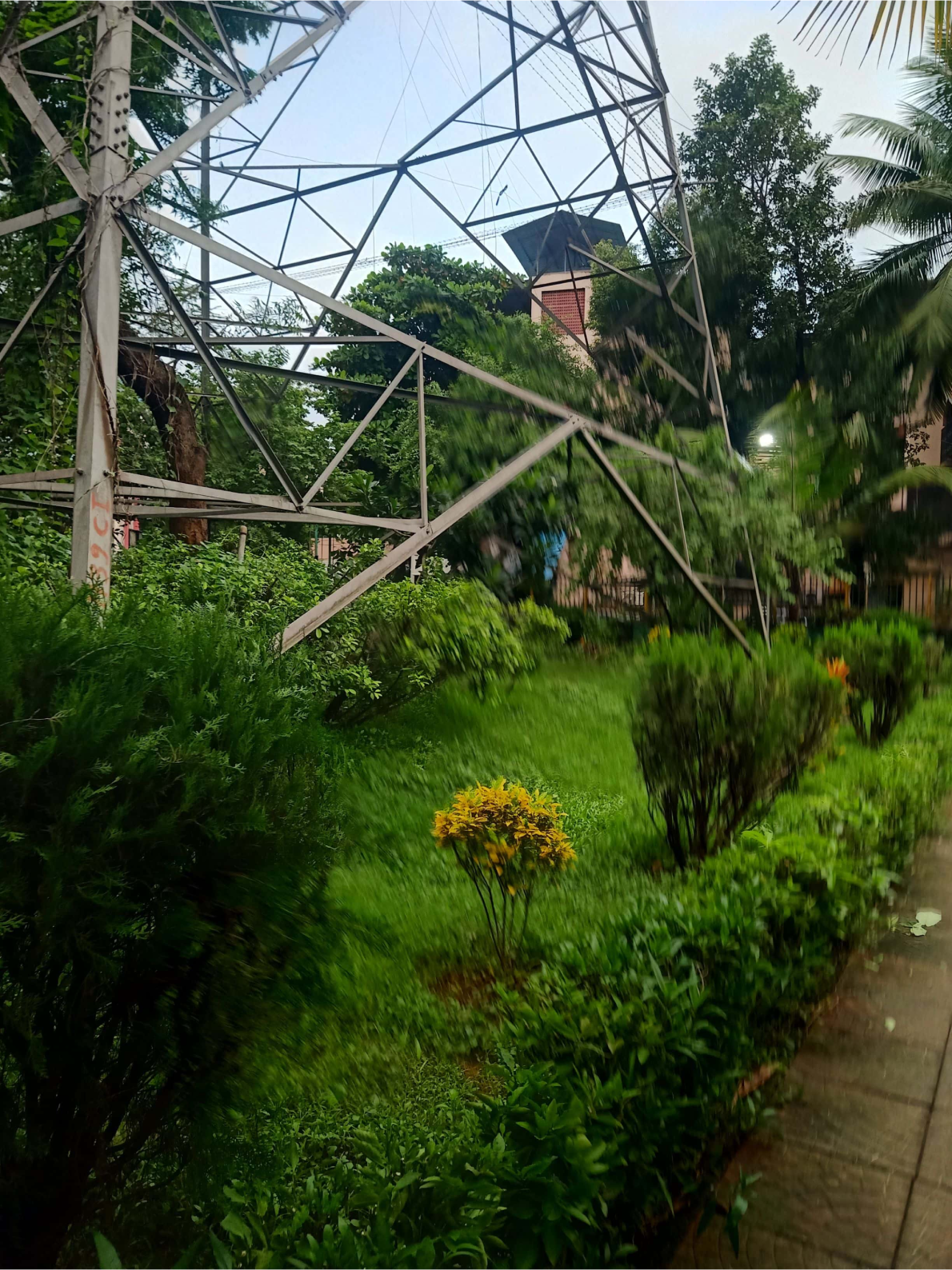 Vishal Phulchand Madhavi garden - slide 2