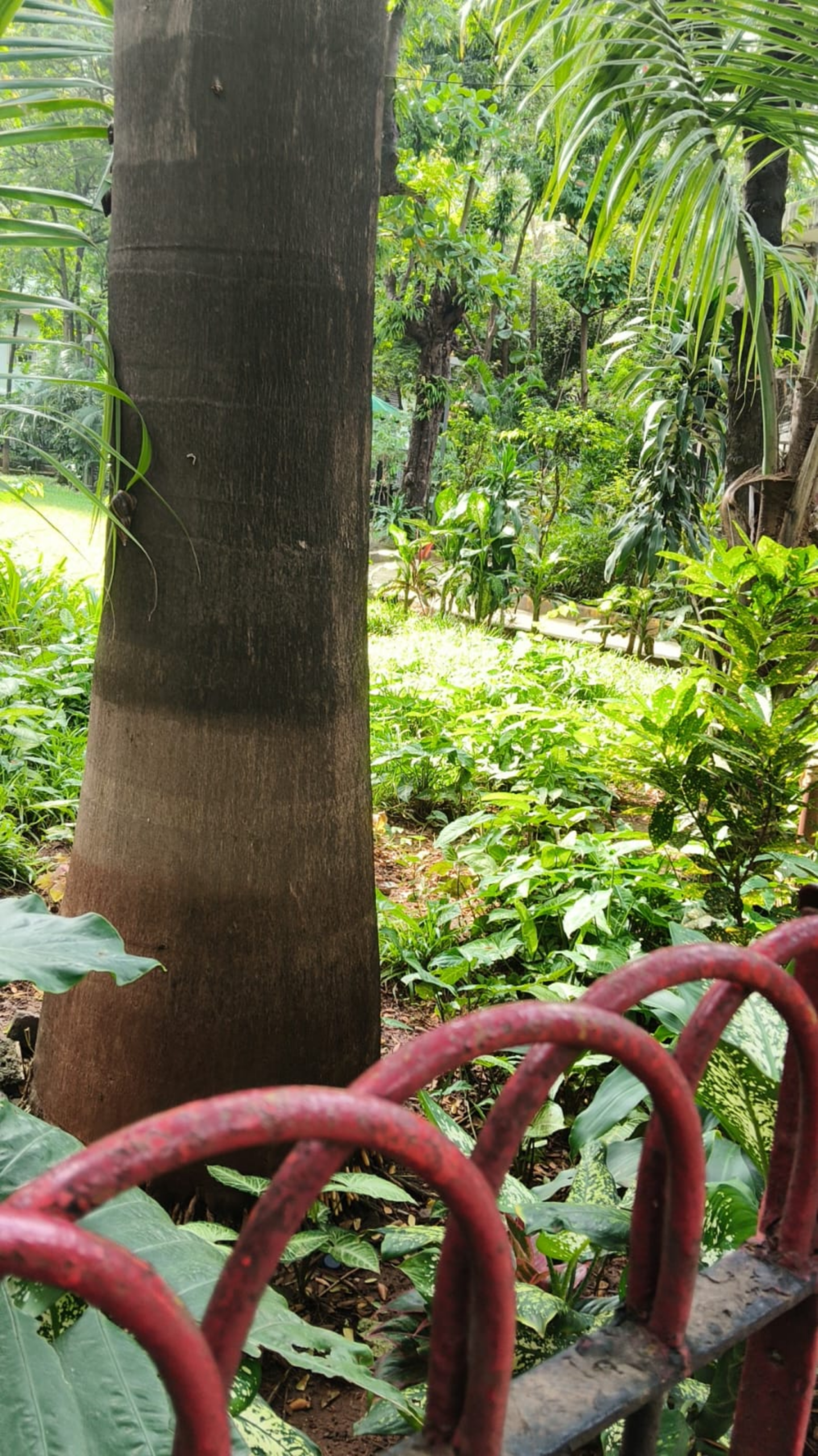 Sitaram Shenoy Udyan - slide 3