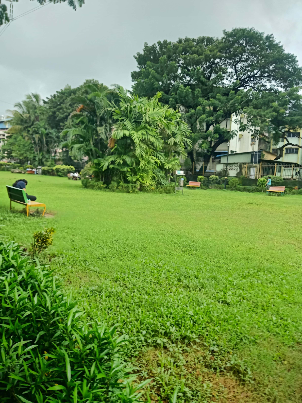 Vishal Phulchand Madhavi garden - slide 9