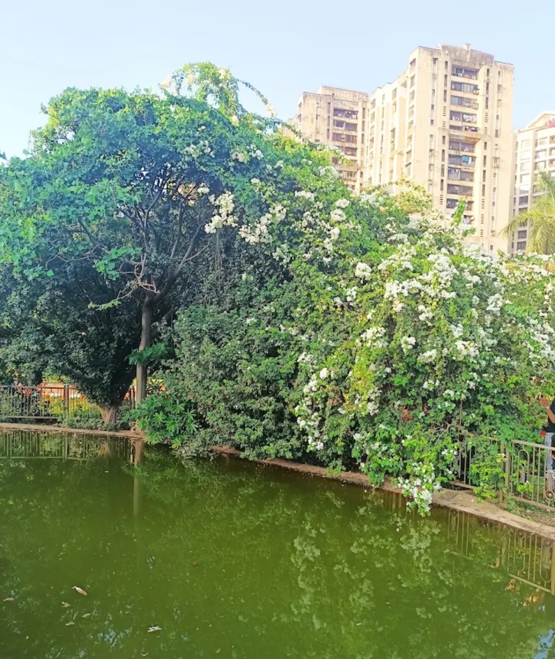 Brihanmumbai Municipal Corporation Garden Andheri - slide 3