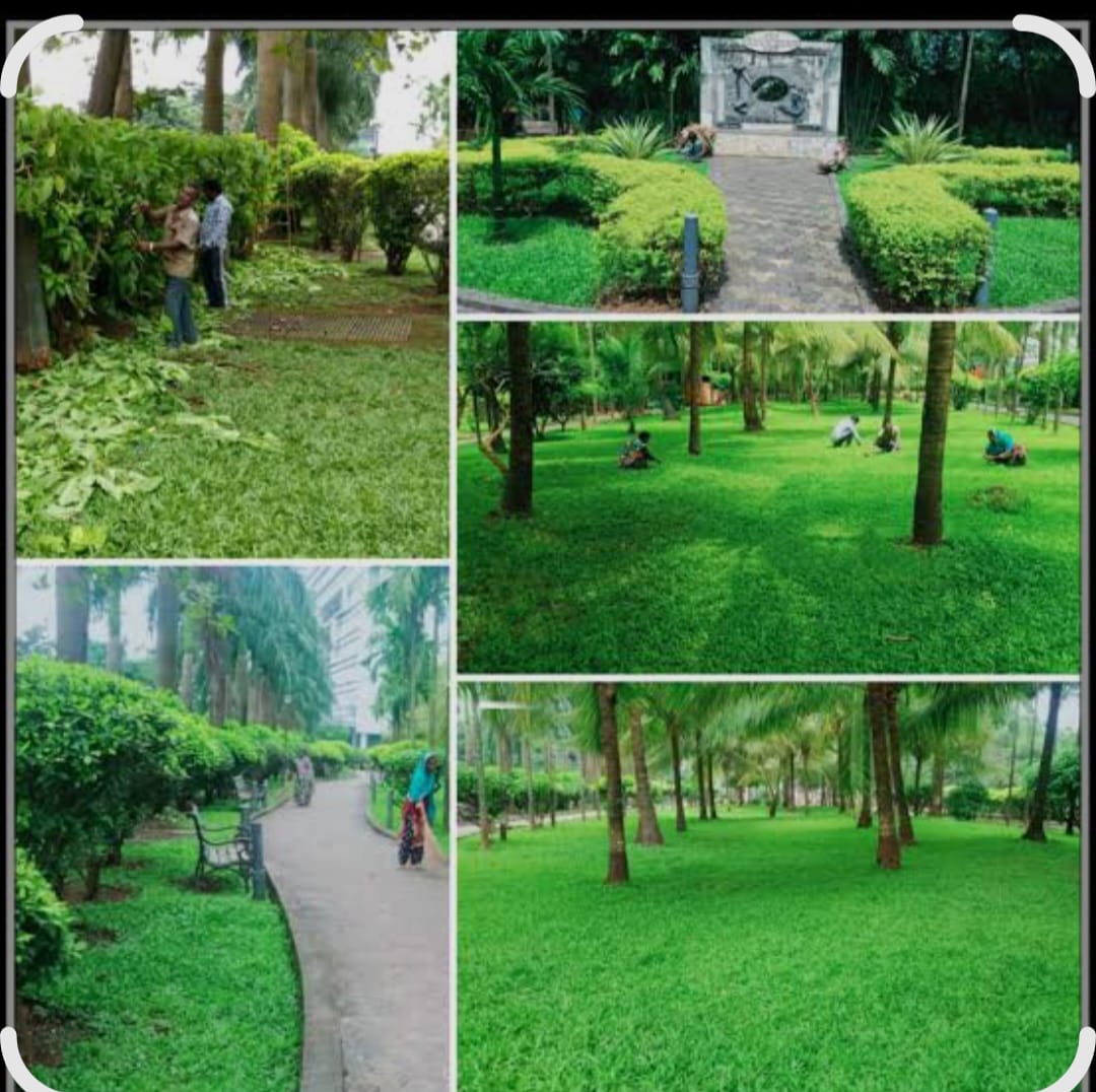 Vijay salaskar park - slide 8
