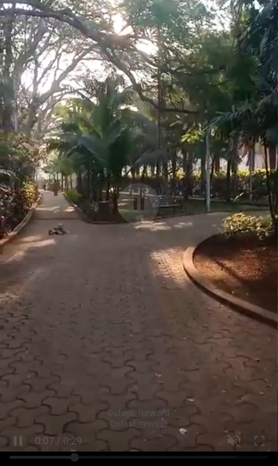 Vijay salaskar park - slide 9