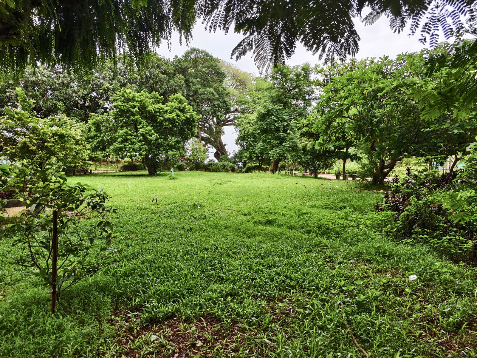 Kamala Nehru Park - slide 5
