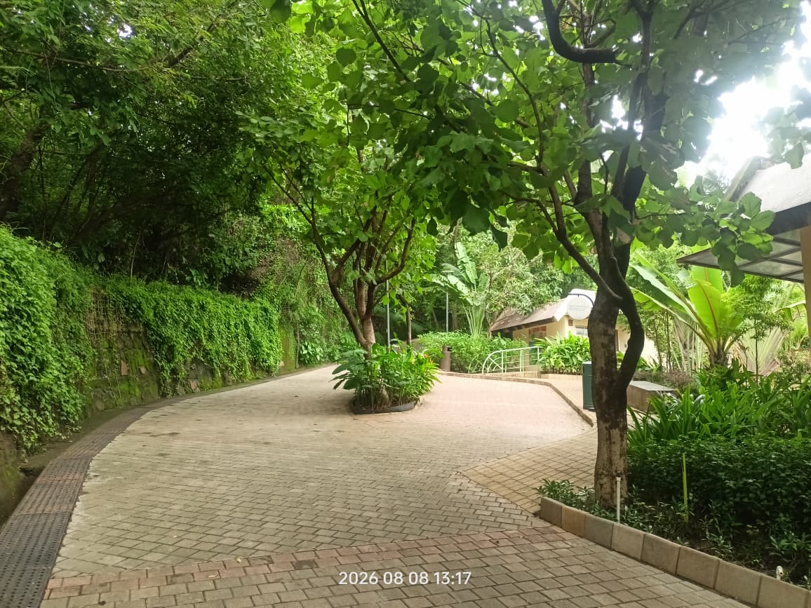 Nahar Amrit Shakti Udyan – Miyawaki Forest - slide 1
