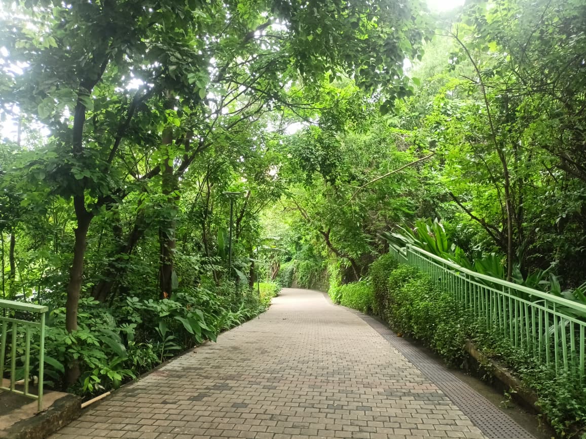 Nahar Amrit Shakti Udyan – Miyawaki Forest - slide 4