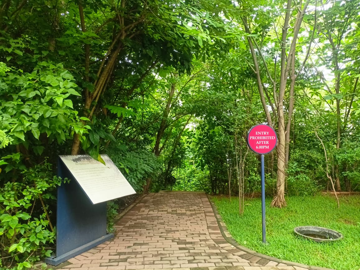 Nahar Amrit Shakti Udyan – Miyawaki Forest - slide 5