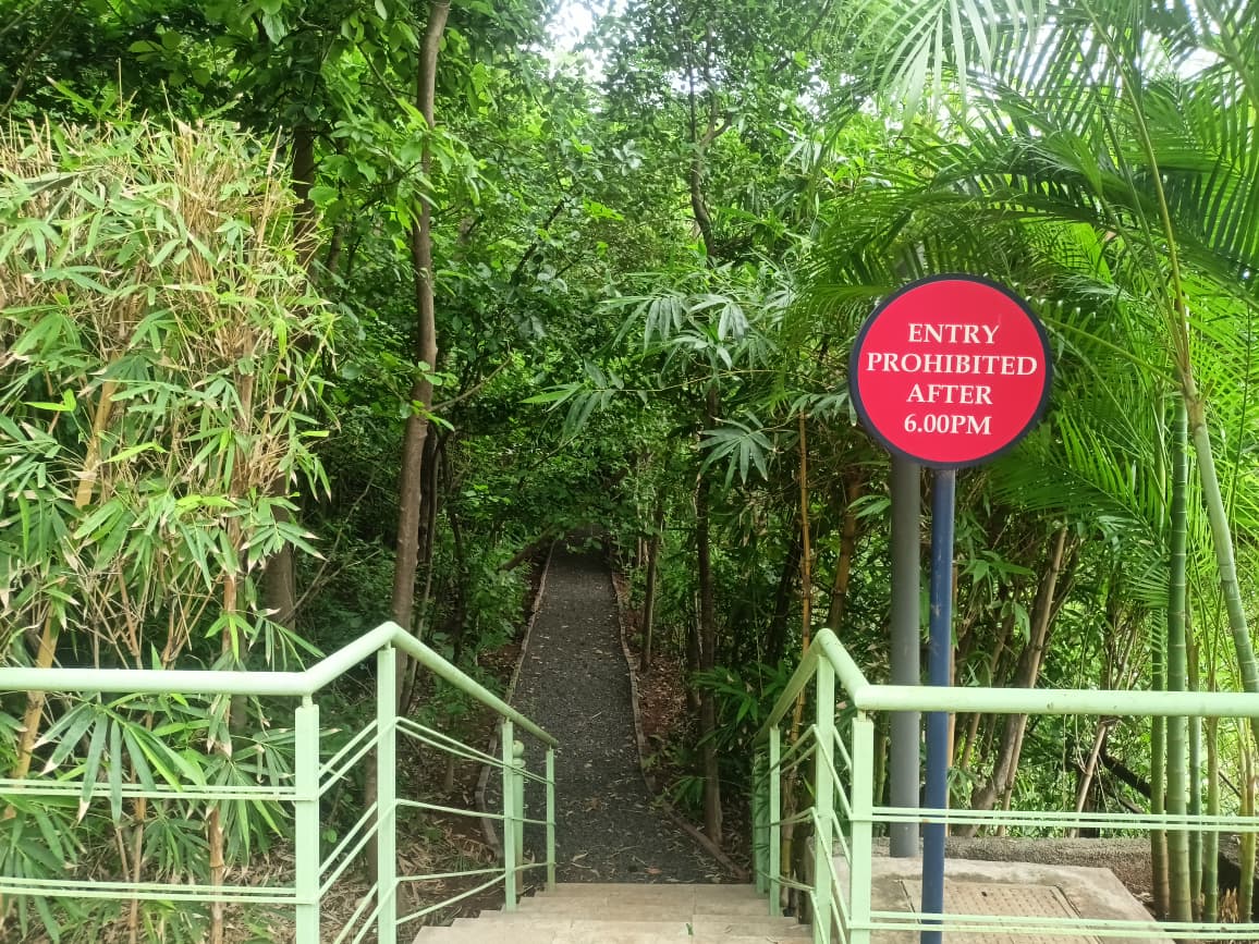 Nahar Amrit Shakti Udyan – Miyawaki Forest - slide 9