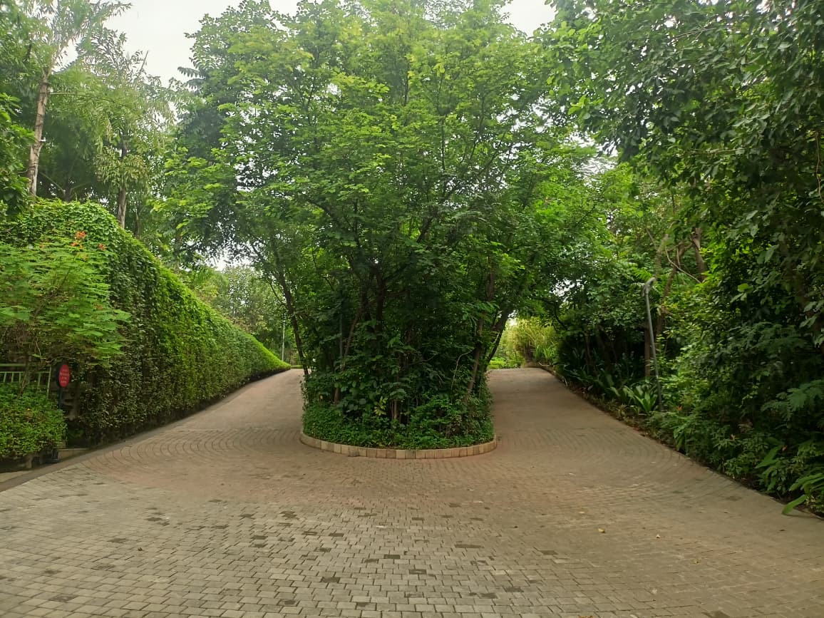 Nahar Amrit Shakti Udyan – Miyawaki Forest - slide 15