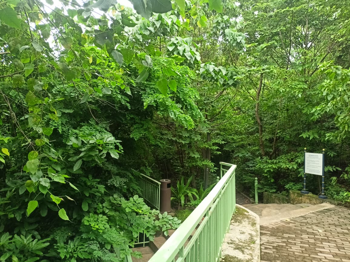 Nahar Amrit Shakti Udyan – Miyawaki Forest - slide 18